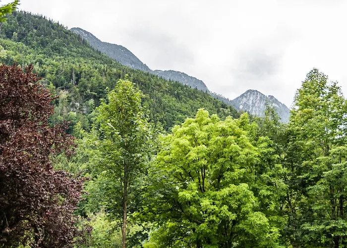 Alpin-chalet In Alleinlage In - Wald, Kamin, Sauna Und Badeplatz Hébergement de vacances *